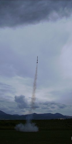 2013 Suche 29062013 Olivera